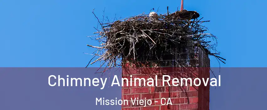  Chimney Animal Removal Mission Viejo - CA