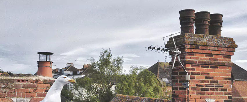 Chimney Cleaning And Restoration in Mission Viejo, California