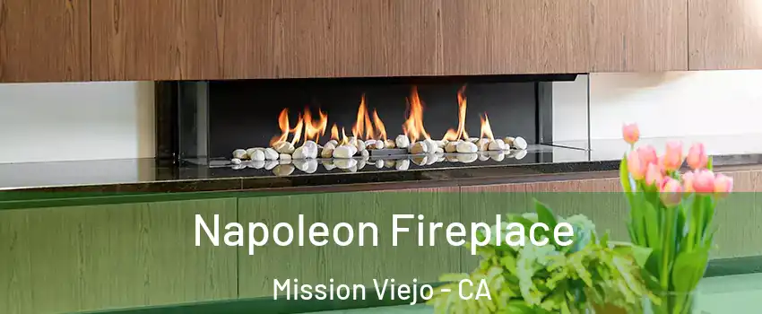  Napoleon Fireplace Mission Viejo - CA